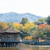 奈良公園の秘宝：鹿と歴史のぶらり旅