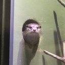 aoi3blogの日記
