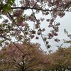 雨の日も、「一日一万歩」を続けるコツ