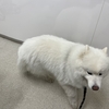 お楽しみの代償⁉️