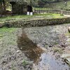 春の水辺見つけたほらほら宝物