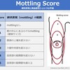 網状皮斑（livedo reticularis） ～敗血症性ショックとMottling Scoreまで～