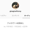 【フォロワー数 4000】 インスタグラムを開始して半年目の総括