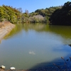 尾登堰（千葉県南房総）