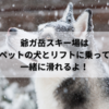 爺ガ岳スキー場はペットの犬とリフトに乗って一緒に滑れるよ！2025年ドッグランコースが新登場