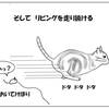 おむすび編22.　狩る猫の不可解な行動　最後の獲物は何？