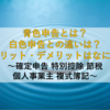 【2025年最新版】いまさら聞けない青色申告とは？白色申告との違いは？メリット・デメリットはなに？ ～確定申告 特別控除 節税 個人事業主 複式簿記～