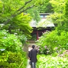 妙法寺(鎌倉)の御朱印と見どころを徹底紹介