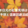 2024年日光いろは坂の紅葉見頃はいつ？混雑予想と混雑回避法紹介！