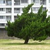 2026年6月30日（火）　特になにもなかった半年はいい半年にしている。