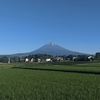 今朝の富士山（20240619）