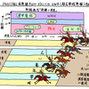 注目されている個人用無線ＬＡＮとしてのＵＷＢ（Ultra Wide Band）