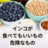 インコが食べてもいいもの、危険なもの