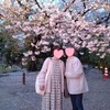 幸運の夜桜