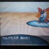 【ブラック2】第8回【ウルガモス捕獲】レベル35のウルガモスをゲットしました！