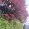 朝が寒くなった