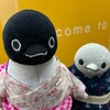 ぼく泳げないよ！関門海峡、どうやって渡るの？：「人道」にペンギン潜入編(その3)(273)