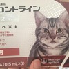 【猫のノミ・ダニ対策】フロントラインプラスを使ってみた！自宅で簡単ノミ・ダニ駆除