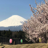 写真撮影IN横浜