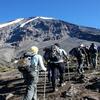 Farm Tours Kenya Can Be Educative While Climbing Trips Adventurous