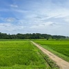 【日常】８月は長めの夏休み？