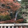 2016年12月有馬・神戸旅行記(2) 1泊目有馬温泉に泊まり、2泊目は、神戸ポートピアホテル　まだチェックインできないので、車だけ駐車して、布引の滝へ行く