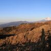 箱根外輪山その３（三国山→山伏峠→箱根峠→山中城跡→三島大社→柿田川公園→沼津駅） 