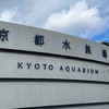 京都水族館に行ってきたよ🐠🐟🐡