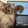 GKEでMLバッチ運用のコツ