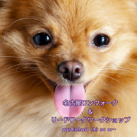 名古屋ワンウォーク＆リードワークワークショップのお知らせ