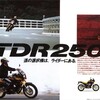 マルチバーパスラリーレイド TDR250