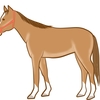 【追い切り注目馬】【モルガナイトS】他　2025/4/27(日) 福島競馬　赤は赤でも