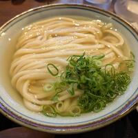うどん038のメニュー：かけうどんと天ぷらの凄さとは - 全国の