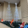 🎅クリスマスが待ち遠しいね🎄