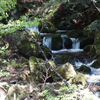 白岩山へのハイク（その４）下りの東コース後半