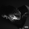 Little Simz / Grey Area