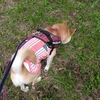 去りがたい公園、だよ
