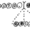 圏論やモナドが、どうして文書処理やXMLと関係するのですか？