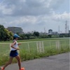 薬はやめてみる