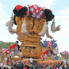 新居浜太鼓祭りに関する雑学！