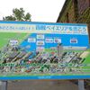 ベイエリアを歩こう～２０２４～