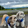 当たりなの？ハズレなの？