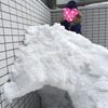 【節約】庭に雪山とかまくらを作りました！