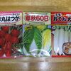 【隠居の家庭菜園　大根・白菜・赤丸はつか　08/29】