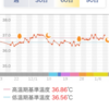 高温期14日目