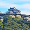 お城大好き雑記　第26回　愛媛県　松山城