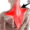 簡単に出来る肩のセルフケア