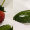 春の息吹と家庭菜園の初収穫 & 白州12年旧ボトル