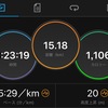 夕涼み10マイルマラソン　2017（スタート〜ゴール編）