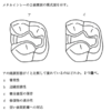 116回歯科医師国家試験【116B-56】保存修復学：スライスカット編